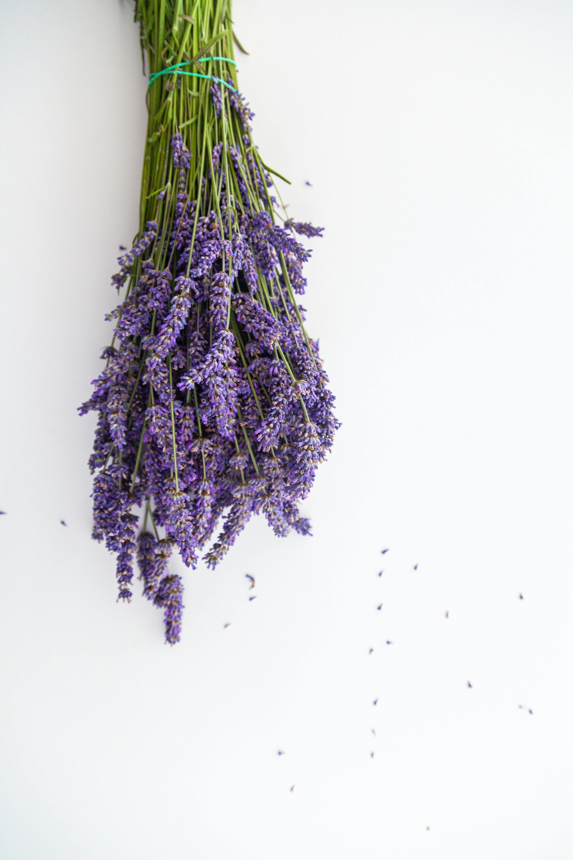 Cómo ayuda el agua de lavanda a tu piel